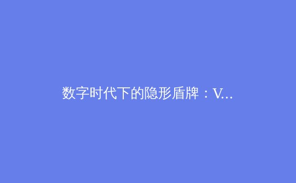 数字时代下的隐形盾牌：VPN技术演进与网络安全新趋势深度解析 - 3