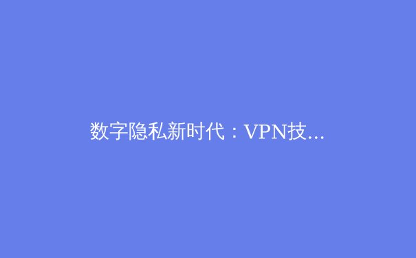 数字隐私新时代：VPN技术演进与全球网络自由实践解析 - 4