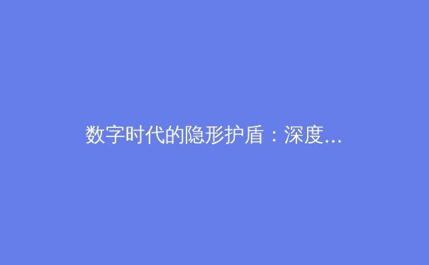 数字时代的隐形护盾：深度解析VPN技术演进与未来趋势 - 3