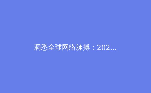 洞悉全球网络脉搏：2024年VPN核心资讯与安全上网趋势深度解读 - 3