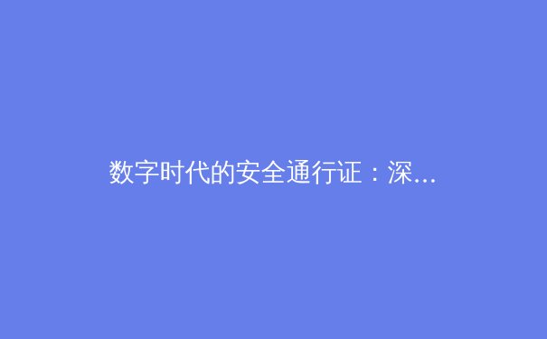 数字时代的安全通行证：深度解析现代VPN的技术演进与战略价值