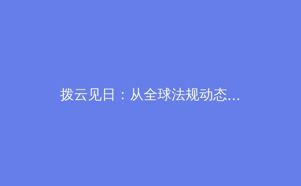 拨云见日：从全球法规动态到技术演进，深度剖析2024年VPN行业核心资讯 - 4