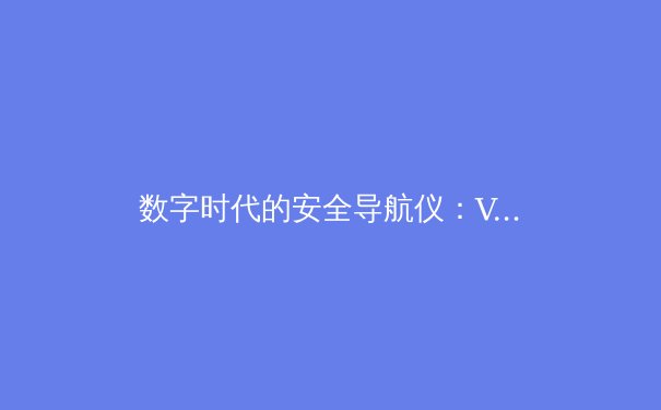 数字时代的安全导航仪：VPN技术演进与2024年隐私保护新趋势 - 4