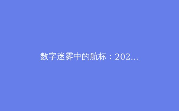 数字迷雾中的航标：2024年VPN技术演进与网络安全格局深度解析