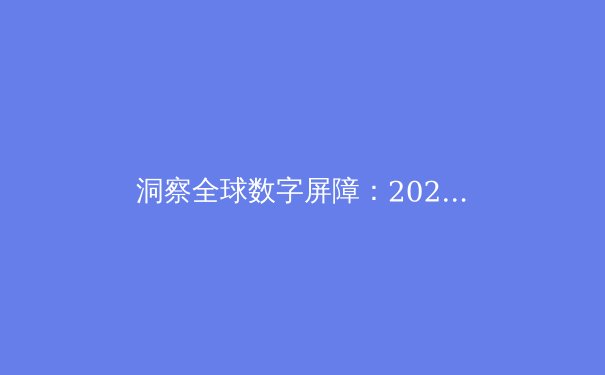 洞察全球数字屏障：2024年VPN技术演进与网络安全格局深度分析